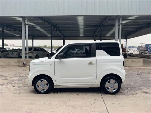 熊猫 2023款 熊猫mini 120km 超萌熊