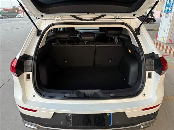 哈弗H6 2020款 1.5GDIT 自动铂金冠军版