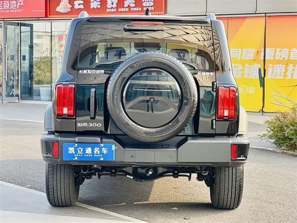 坦克300 2024款 2.0T 征服者