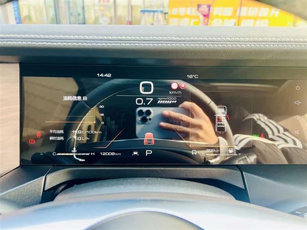 坦克300 2024款 2.0T 征服者