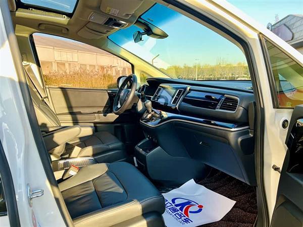 艾力绅 2019款 2.0L 混动豪华版