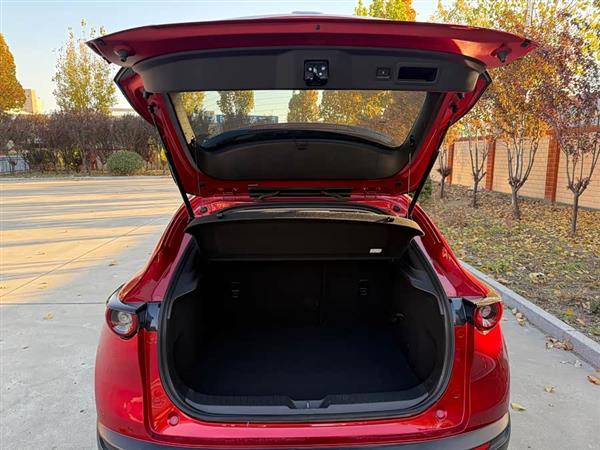 马自达CX-30 2020款 2.0L 自动耀悦型