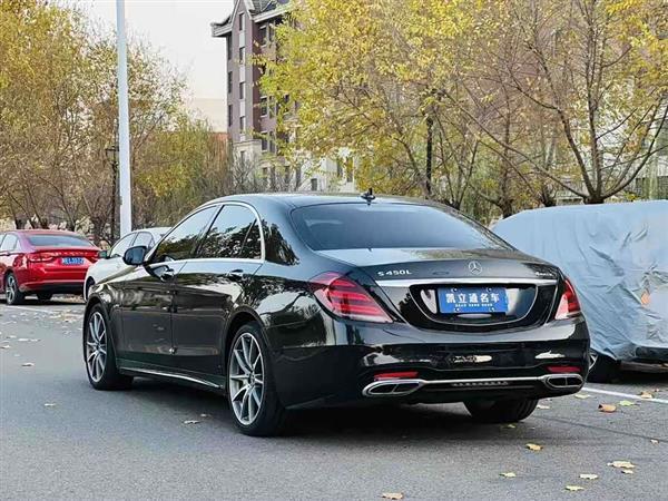 奔驰S级 2019款 S 450 L 4MATIC 臻藏版