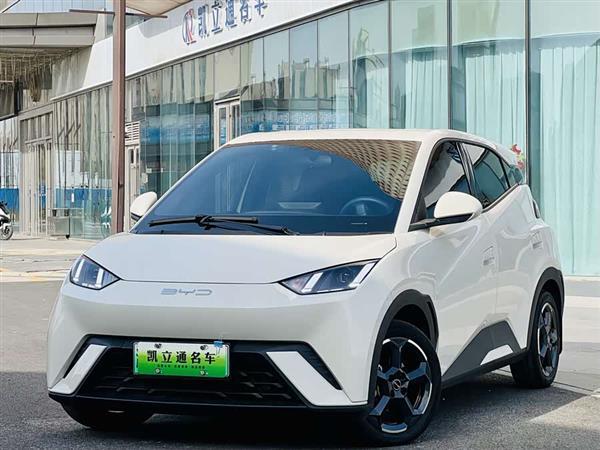 海鸥 2023款 自由版