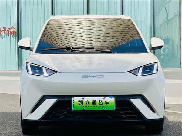 海鸥 2023款 自由版