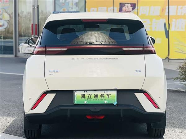 海鸥 2023款 自由版