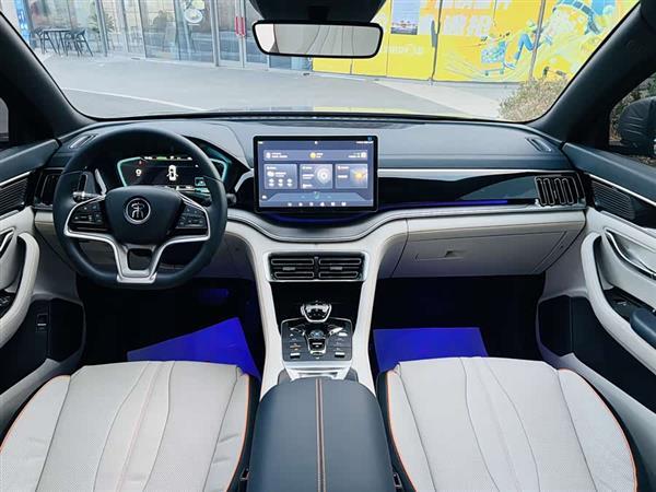 宋PLUS新能源 2021款 DM-i 51KM 尊荣型