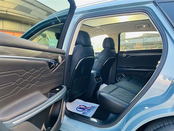 岚图FREE 2021款 四驱增程首发纪念版专属豪华套装