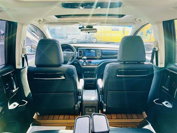 艾力绅 2019款 2.0L 混动豪华版