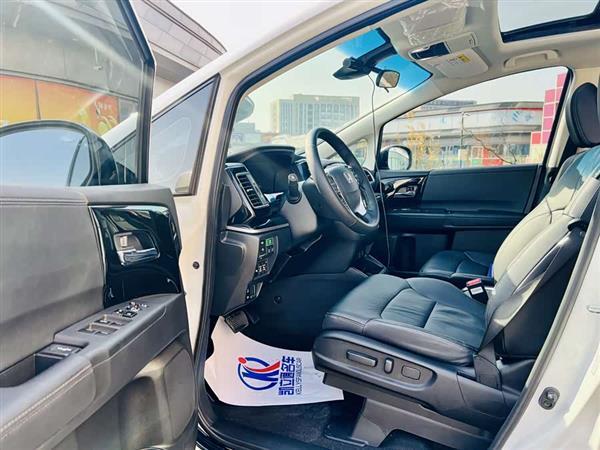 艾力绅 2019款 2.0L 混动豪华版