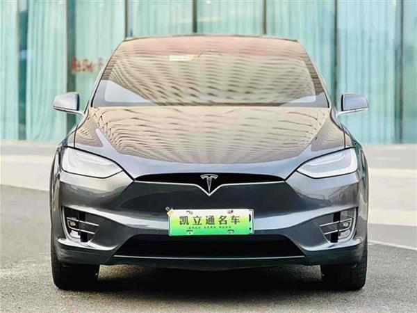 Model X 2017款 Model X 100D 长续航版