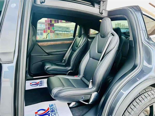 Model X 2017款 Model X 100D 长续航版