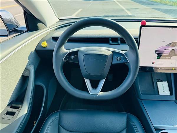 Model 3 2023款 后轮驱动版