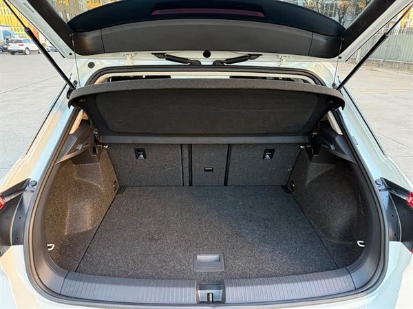 T-ROC探歌 2020款 230TSI DSG两驱进取型