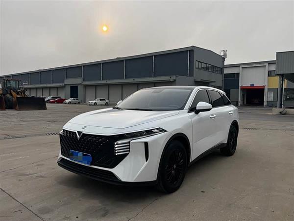 启辰大V 2022款 260T 定制版·爱豆