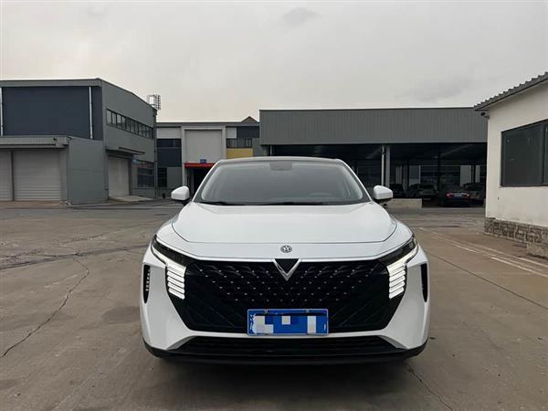 启辰大V 2022款 260T 定制版·爱豆