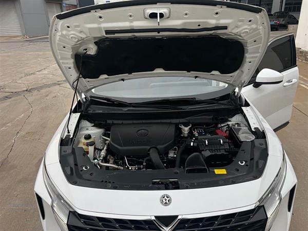 启辰大V 2022款 260T 定制版·爱豆