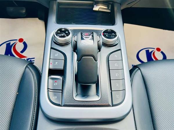 坦克300 2021款 越野版 2.0T 征服者