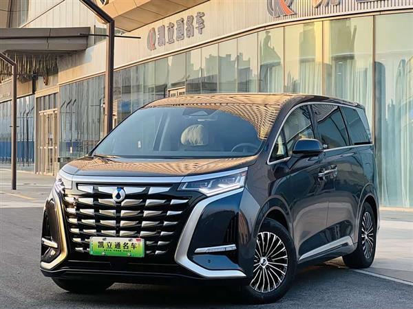 腾势D9 2022款 DM-i 1040 尊贵型