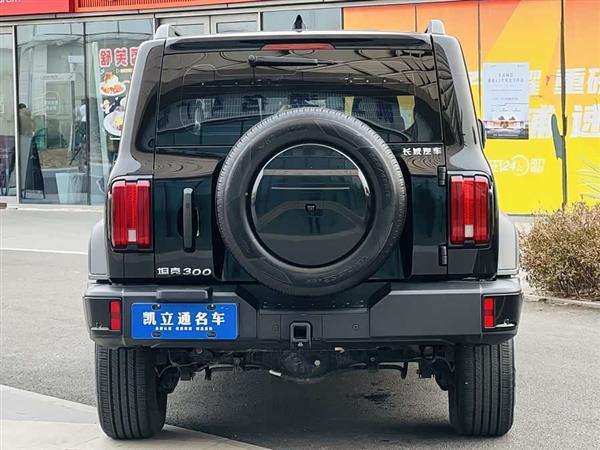 坦克300 2024款 2.0T 征服者