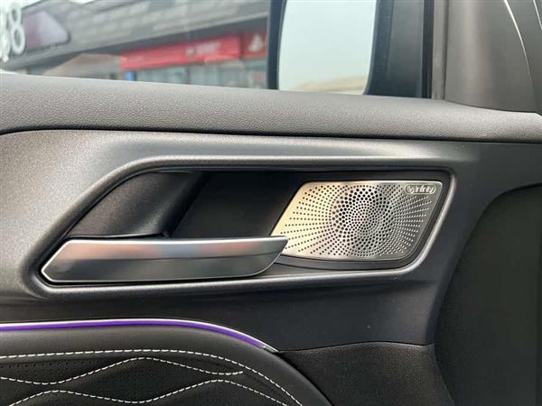 坦克300 2024款 2.0T 征服者