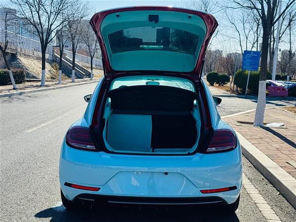 甲壳虫 2018款 180TSI 尚乐型