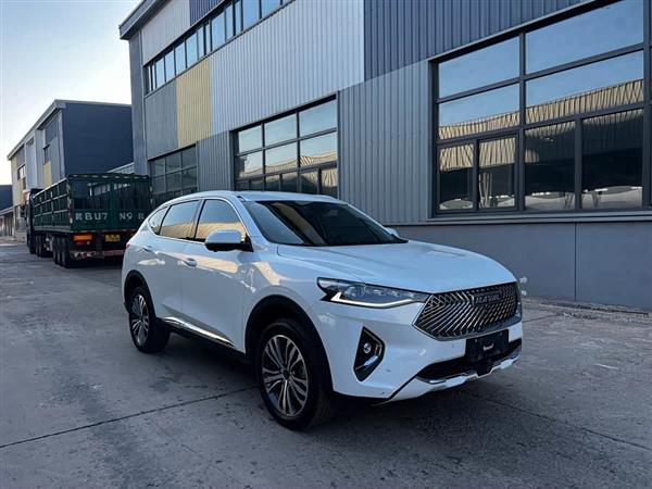 哈弗F7 2021款 2.0T 两驱i范