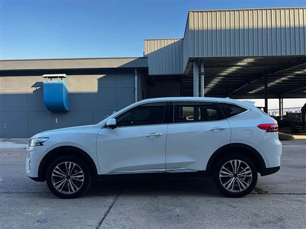 哈弗F7 2021款 2.0T 两驱i范