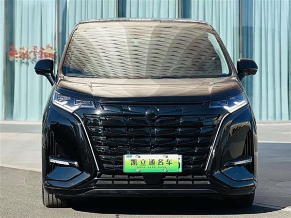 腾势D9 2024款 DM-i 1050 尊享型