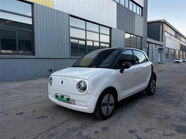 欧拉黑猫 2021款 301km 基础型