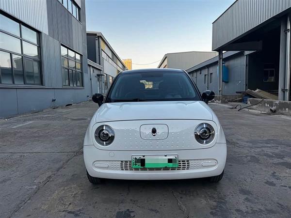 欧拉黑猫 2021款 301km 基础型