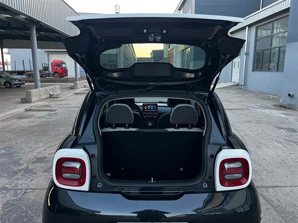 欧拉黑猫 2021款 301km 基础型