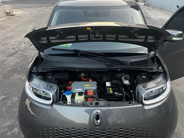 欧拉白猫 2020款 305km 豪华型