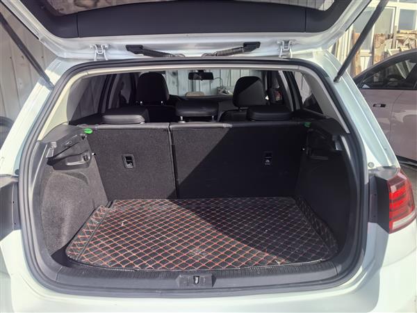 大众 高尔夫 2020款 挚爱版 280TSI DSG舒适型