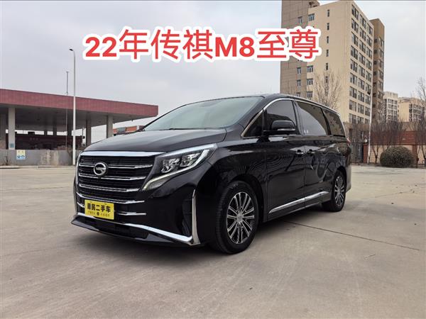广汽传祺 传祺GM8 2021款 领秀系列 390T 至尊版