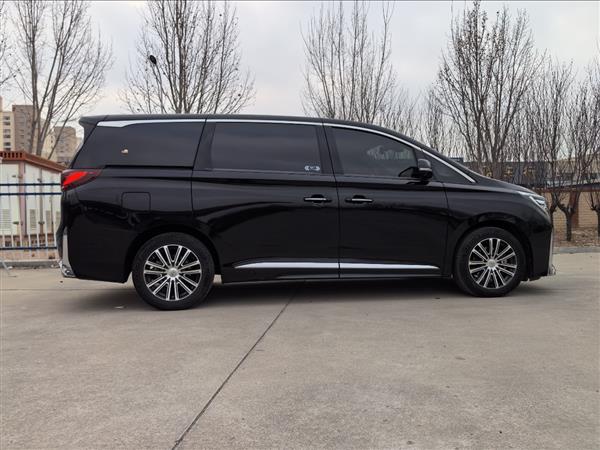 广汽传祺 传祺GM8 2021款 领秀系列 390T 至尊版