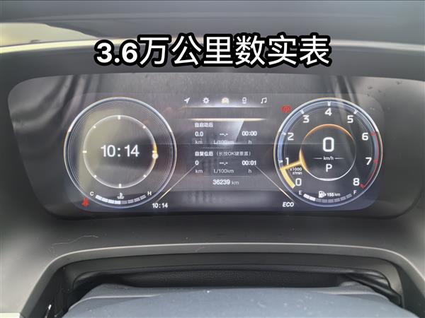 广汽传祺 传祺GM8 2021款 领秀系列 390T 至尊版