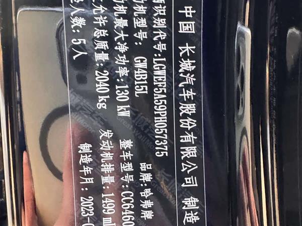 哈弗大狗 2024款 1.5T DCT边牧版