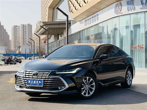 亚洲龙 2024款 2.0L 进取版