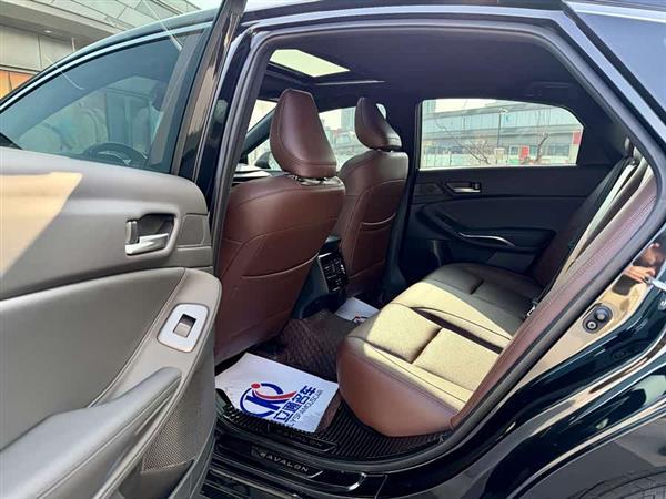 亚洲龙 2024款 2.0L 进取版