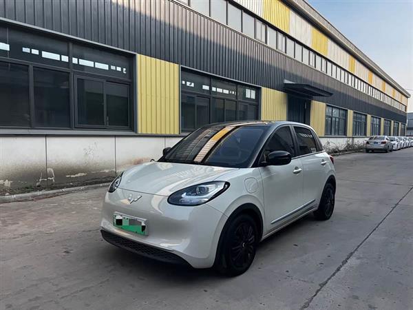 五菱缤果 2023款 333km 快享款