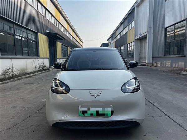 五菱缤果 2023款 333km 快享款