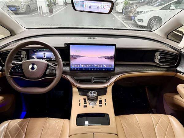 腾势D9 2022款 DM-i 1040 尊贵型