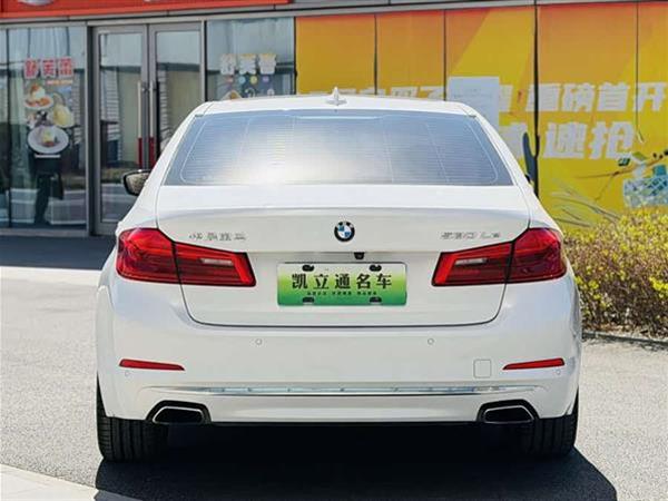 宝马5系新能源 2019款 530Le 豪华套装