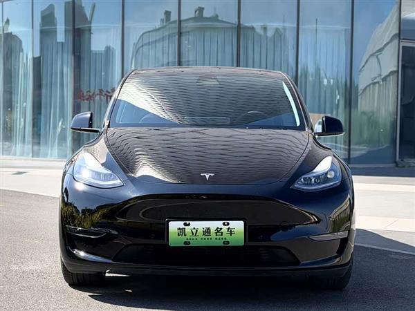 Model Y 2023款 高性能全轮驱动版